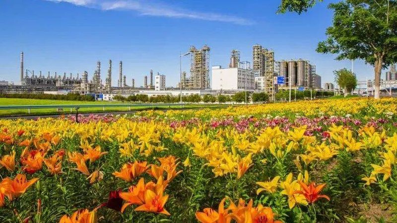 新材料应用场景揭秘：从力学性能到加工窗口