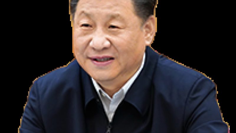 水性涂料防腐剂：价格背后的考量因素